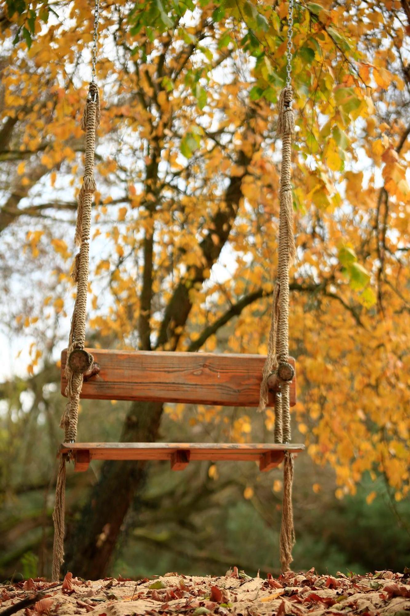 Willa Domek na drzewie w Dolinie Uradu Zewnętrze zdjęcie